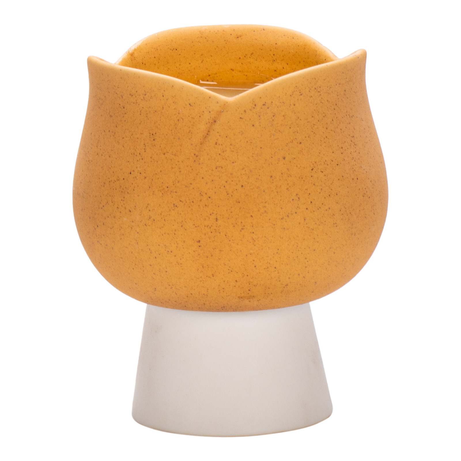Europa Piękne Tulipany Ceramic – Candle Supplies Europe recenzja i cena
